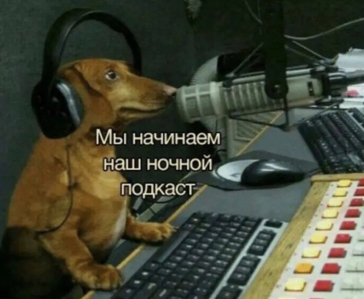Любители аудиоформата включайтесь! Разговор про подкасты. | Сетка — социальная сеть от hh.ru