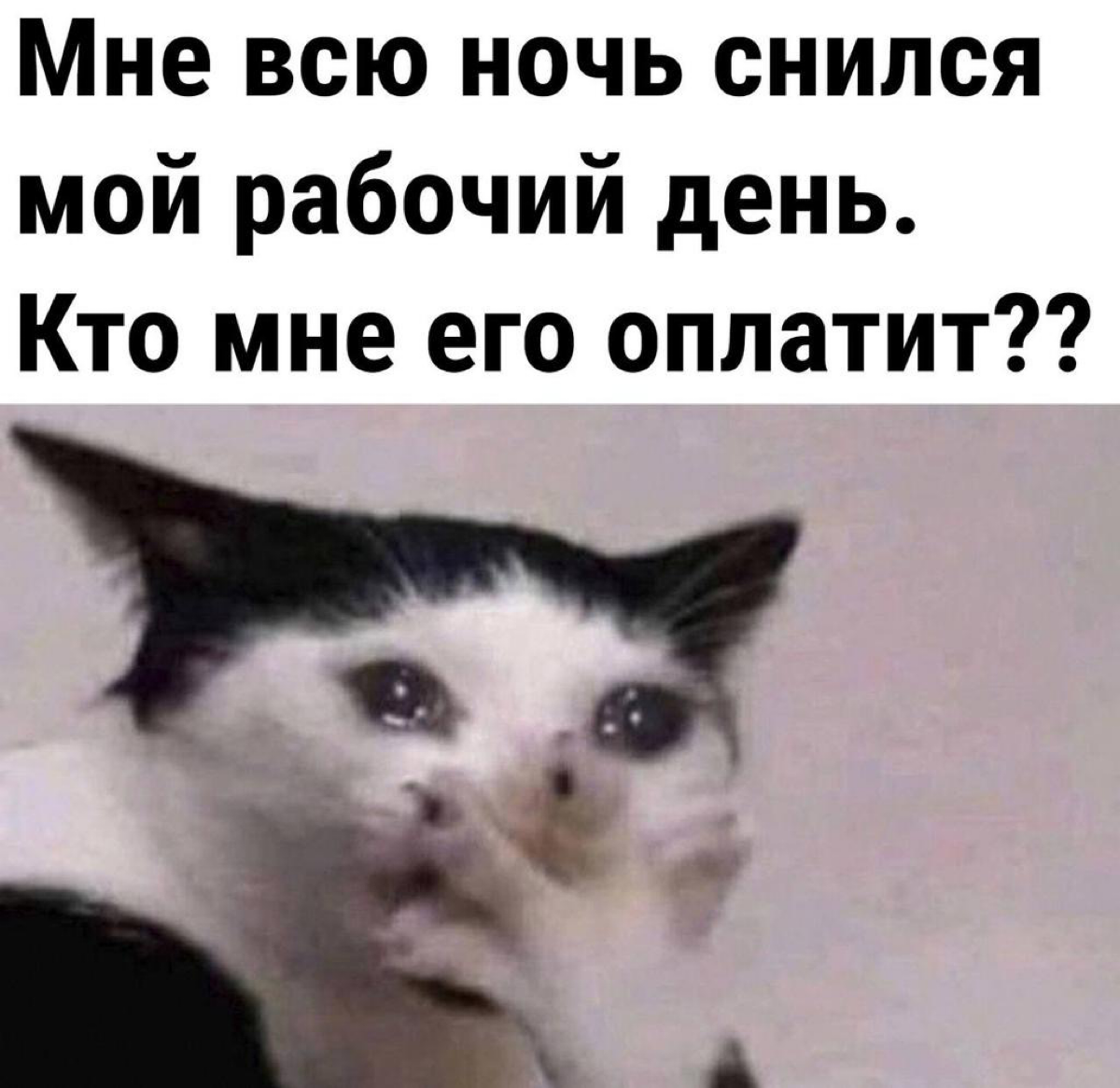 А мне снились первые 2 дня больничных сотрудников. Кто их оплатит?) | Сетка — социальная сеть от hh.ru