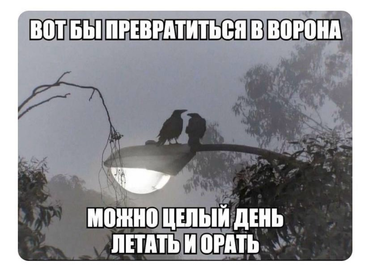 Мне кажется, что менеджмент многих компаний осуществил это желание. Ходят по офису целый день и орут | Сетка — социальная сеть от hh.ru