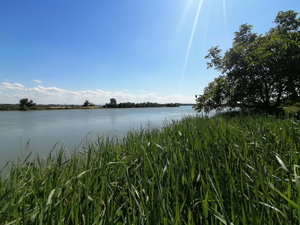На старый ведрофон | Сетка — социальная сеть от hh.ru