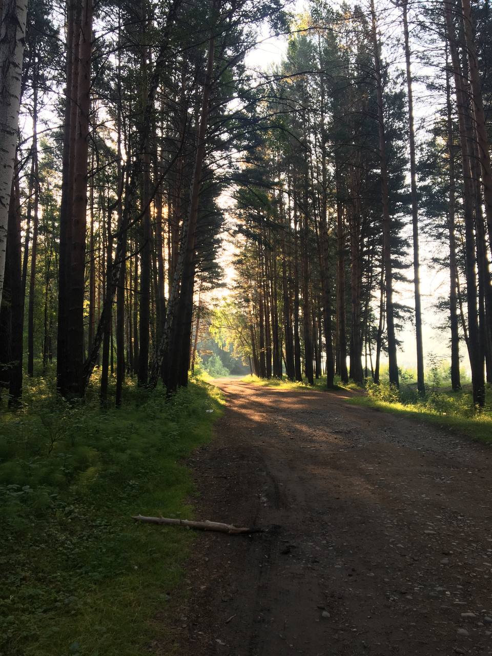 На пути к месту медитации. У меня видимо талант, места силы находить. | Сетка — социальная сеть от hh.ru