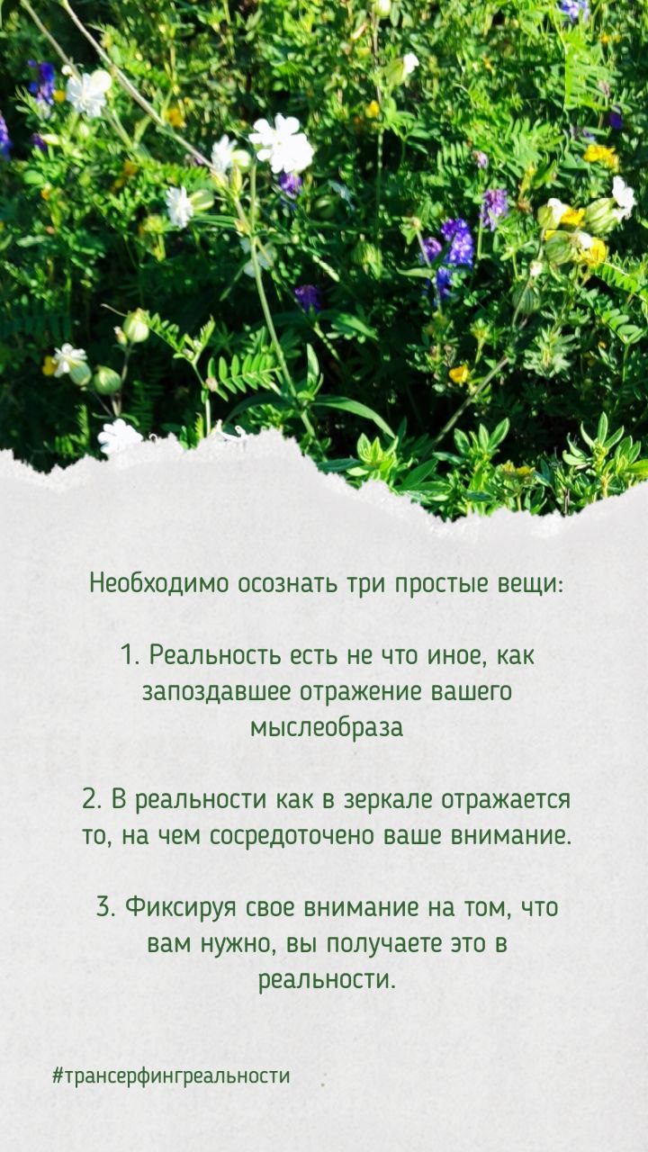 @vinegret\ev ⭐️ | Сетка — социальная сеть от hh.ru