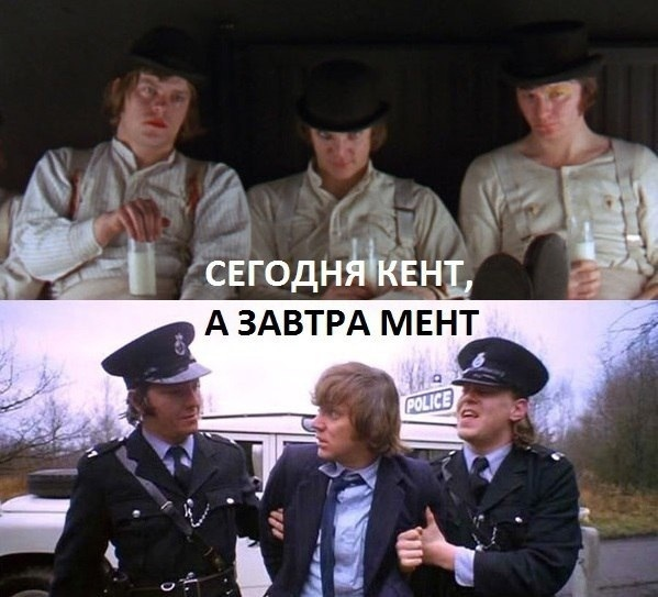 К крысам на работе как относитесь? | Сетка — социальная сеть от hh.ru