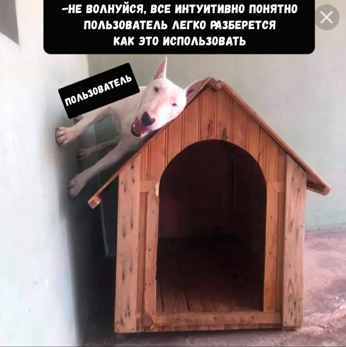 Жиза!😂😭 | Сетка — социальная сеть от hh.ru