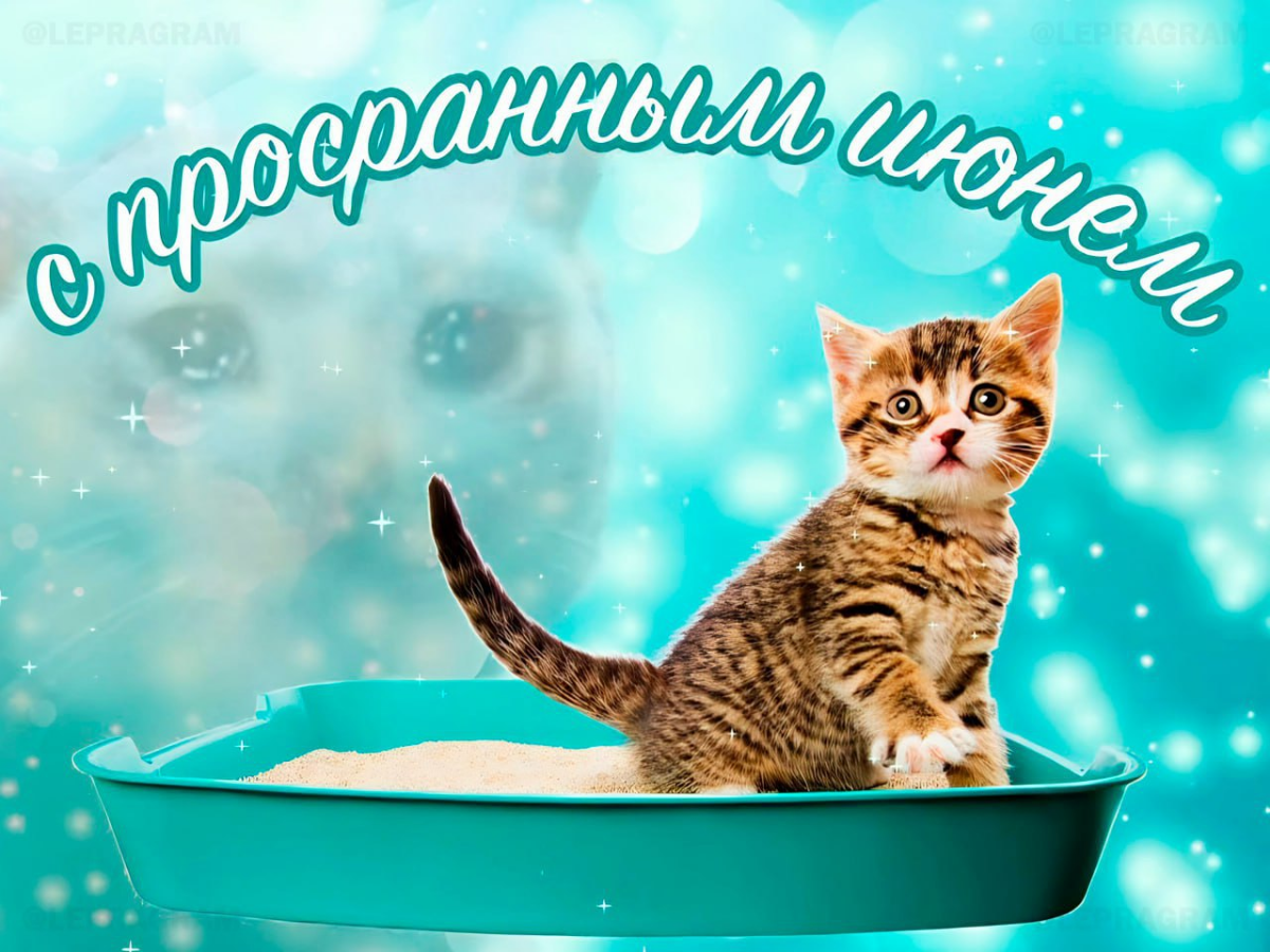 Мем #24
Всех с праздником! | Сетка — социальная сеть от hh.ru