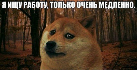 Где же тебя найтиии работа или сотрудник мечты 🫣 | Сетка — социальная сеть от hh.ru