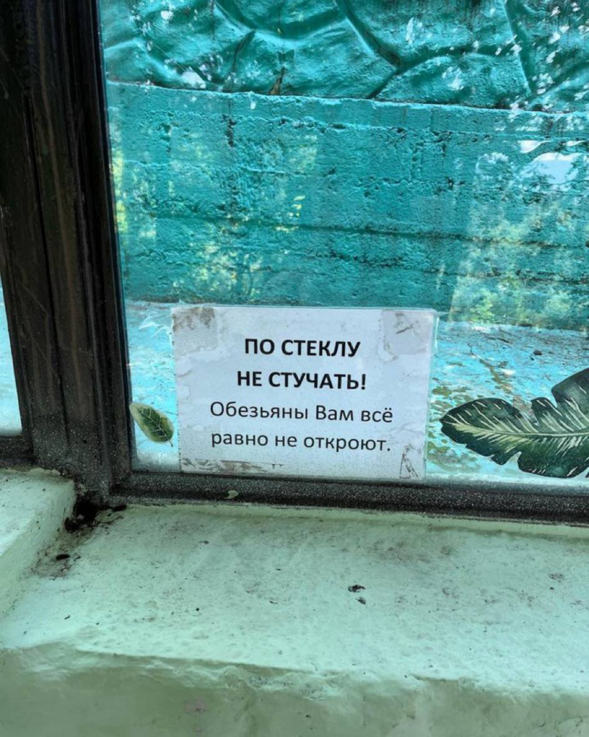 Про статус задачи каждые 5 минут не спрашивать. Так я еë быстрее не сделаю | Сетка — социальная сеть от hh.ru