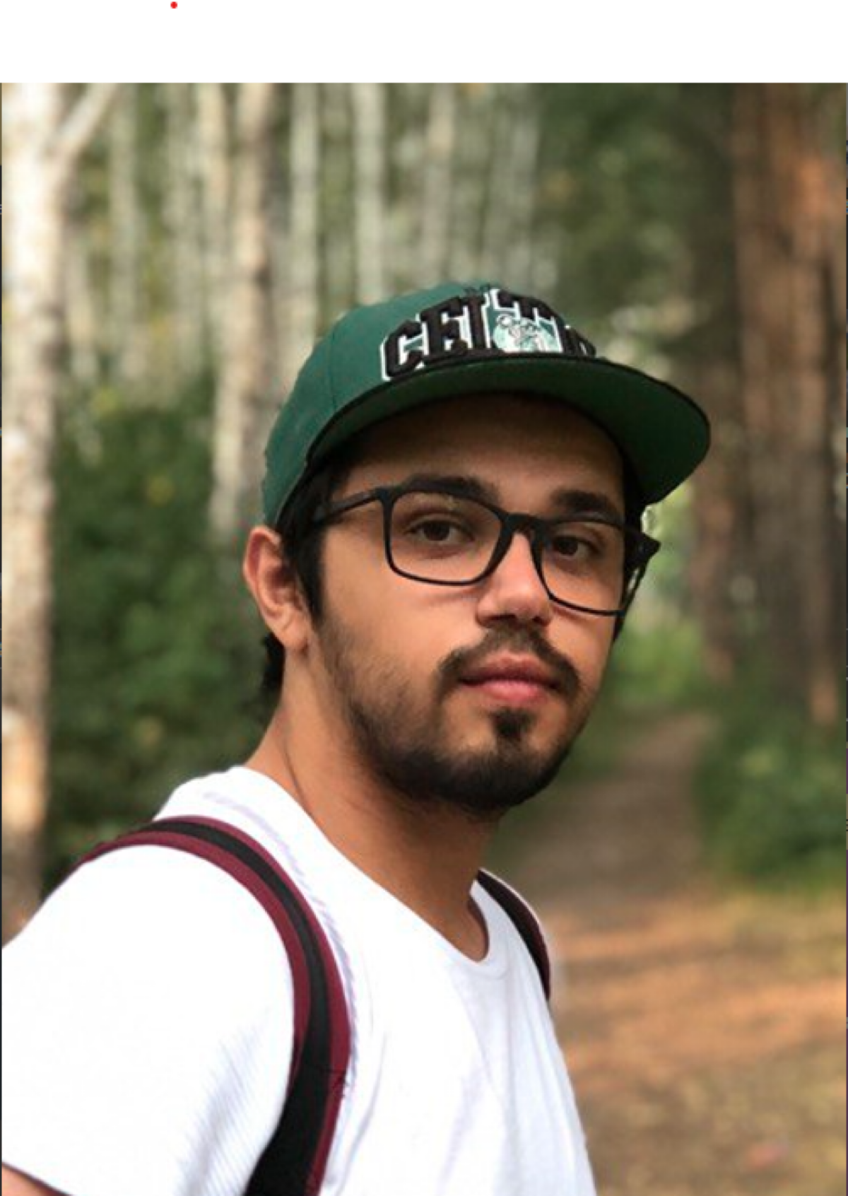 Родион Саркисянц | Сетка — социальная сеть от hh.ru