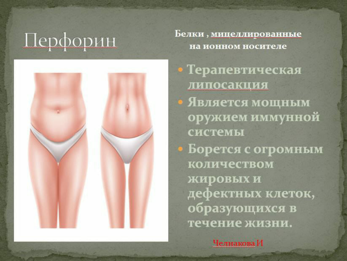 #презентация #совосова
#совосова #продукцияСовоСова #сергеймоисеев #солдатенков #презентация #совосова #екатеринбург  #продукциясовосова
Перфорин
Иммунные клетки способны перерабатывать жировую ткань,... | Сетка — социальная сеть от hh.ru
