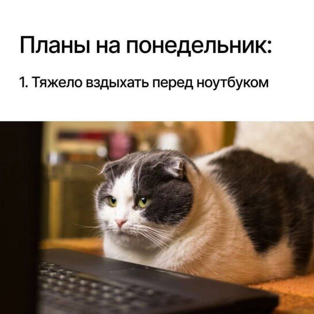 Понедельник , утро, готовимся 😀 | Сетка — социальная сеть от hh.ru
