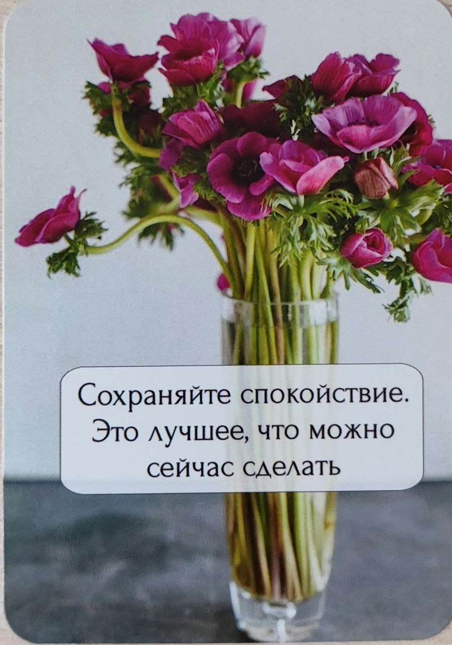 Подсказка от Вселенной на новую неделю | Сетка — социальная сеть от hh.ru