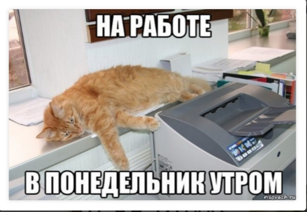Опять… Снова...⁠⁠ | Сетка — социальная сеть от hh.ru