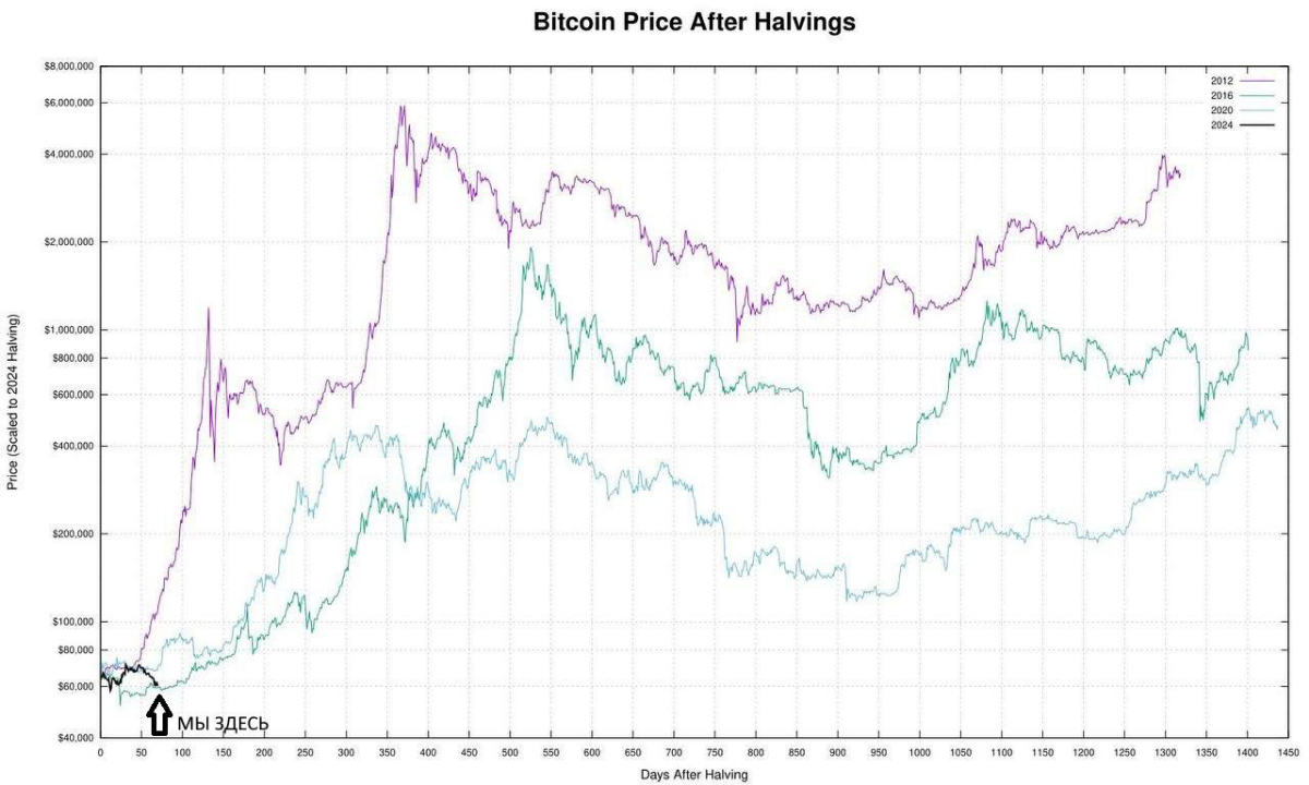 Сравнение исторических движений BTC после халвинга. | Сетка — социальная сеть от hh.ru