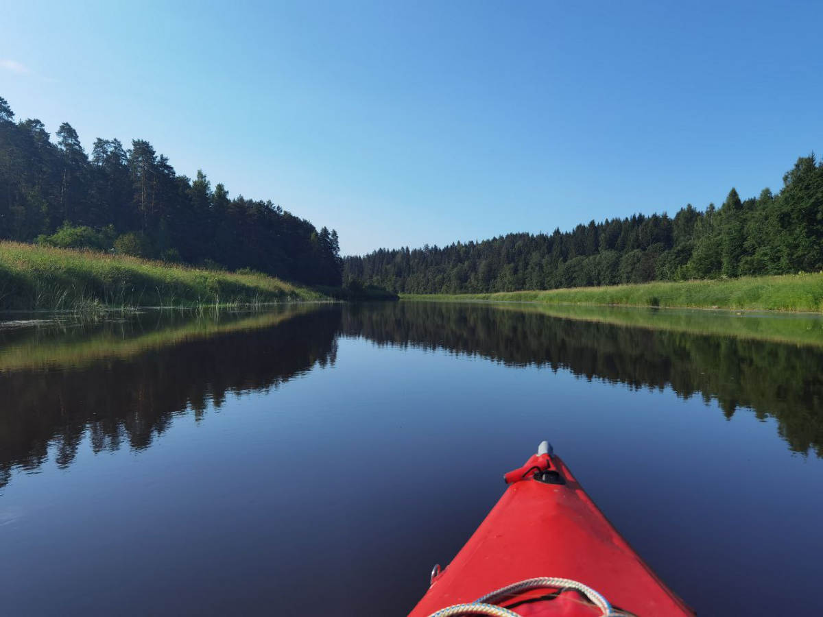 Немного тишины | Сетка — социальная сеть от hh.ru