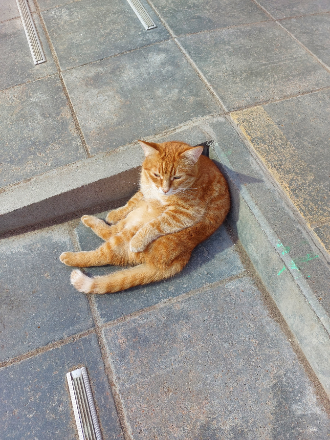 Анимация. Нелёгкий путь.
Приглашаю поддержать подпиской на канал начинающего специалиста по анимации.
Кто знает, вдруг когда-нибудь у вас получится вместе поработать.. | Сетка — социальная сеть от hh.ru