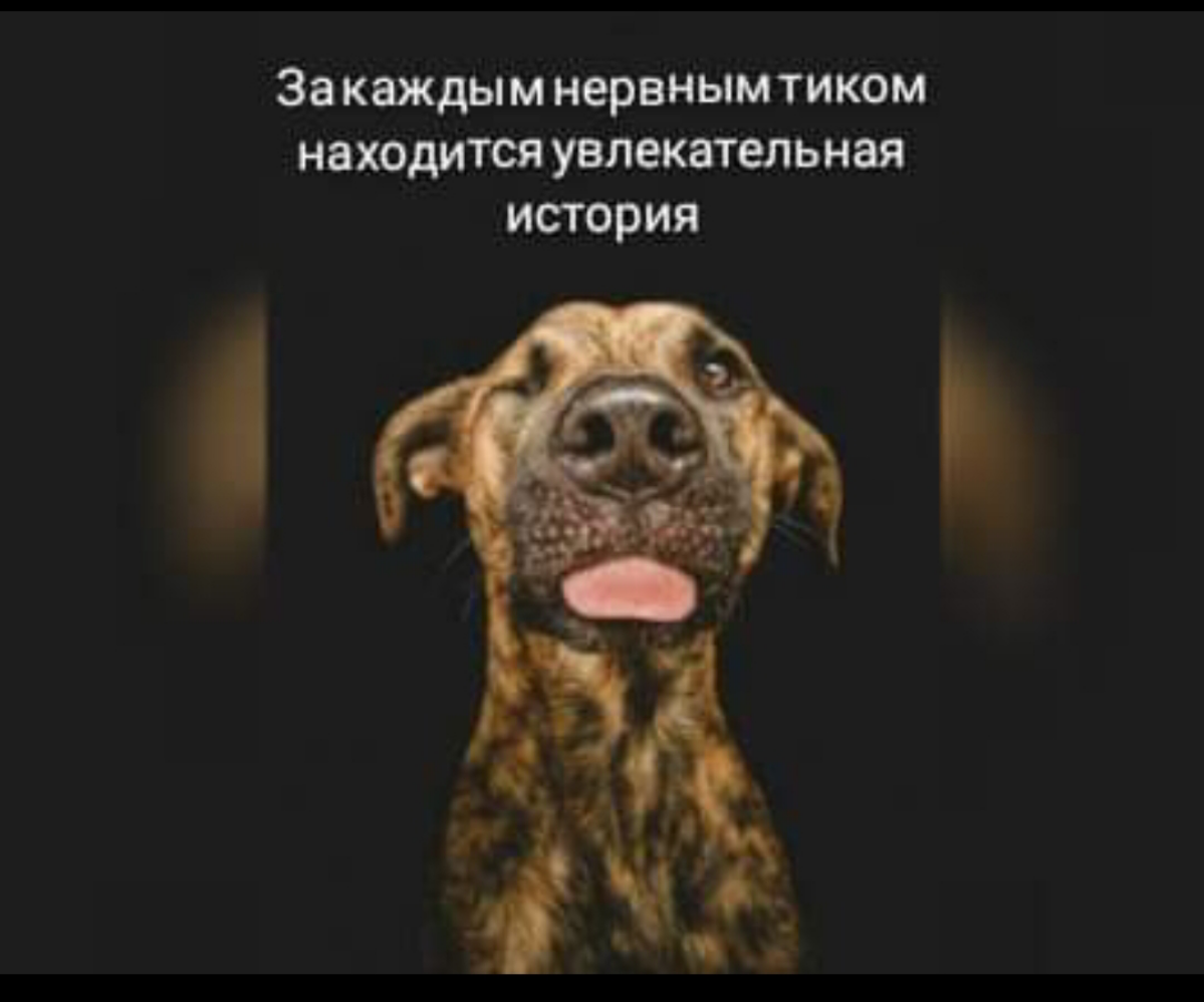 Старайтесь каждый час- полтора вставать из-за рабочего стола и минут 15 походить, например, сходить за кофе. Т. е | Сетка — социальная сеть от hh.ru