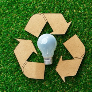 Зеленее не будет