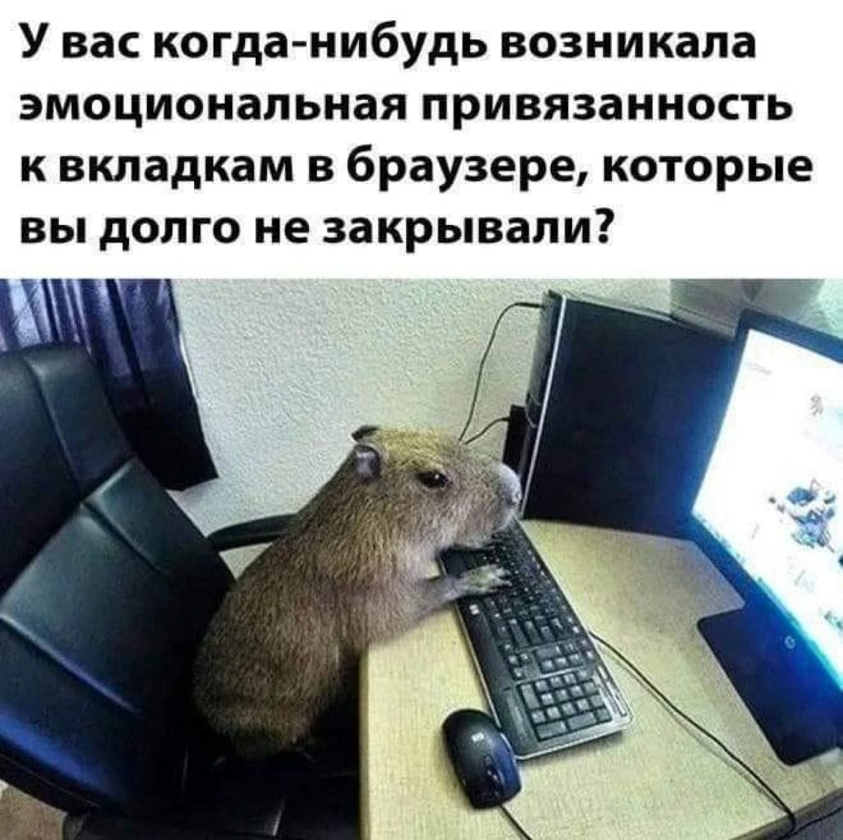 Недавно закрыл все вкладки и вкладки с вкладками, и даже отдельные стопки с вкладками.
Началась ломка, ищу общество анонимных вкладочников, чтобы высказаться. | Сетка — социальная сеть от hh.ru