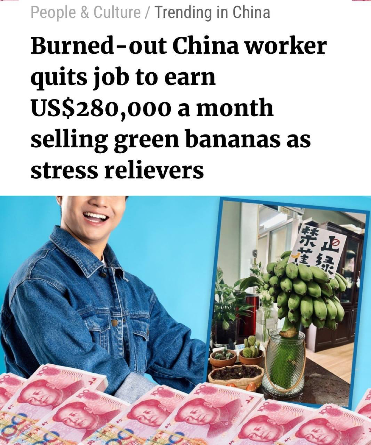 Помните на прошлой неделе я вам рассказывал про новый тренд в Китае по выращиванию бананов на рабочем месте, который помогает офисным сотрудникам справляться с выгоранием?
Так вот подъехали подробност... | Сетка — социальная сеть от hh.ru
