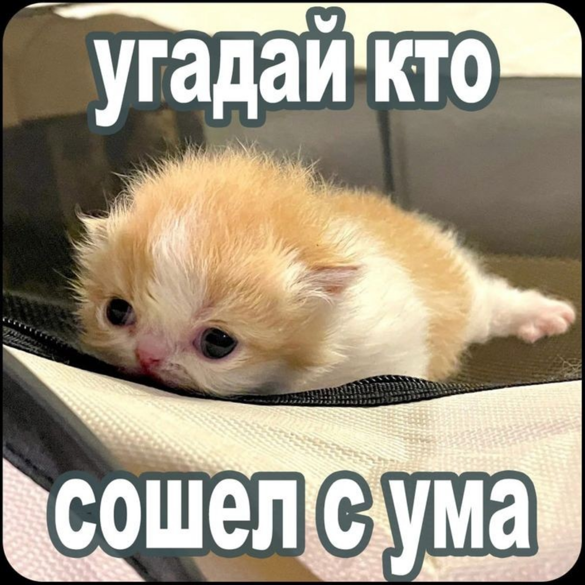 Начало недели, а уже((( | Сетка — социальная сеть от hh.ru