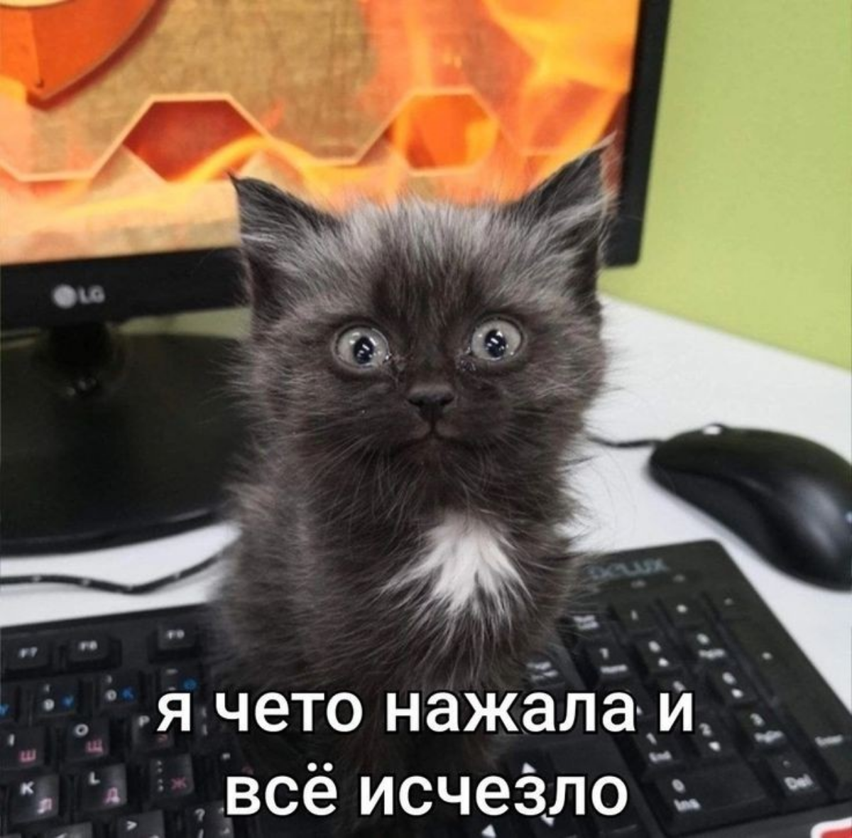 User moment | Сетка — социальная сеть от hh.ru