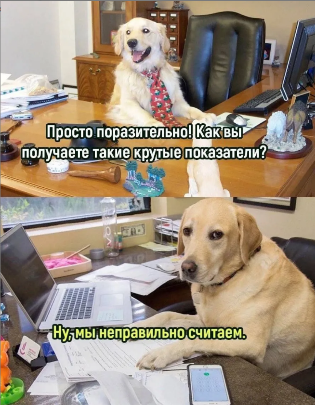 Привет, Сетка! | Сетка — социальная сеть от hh.ru