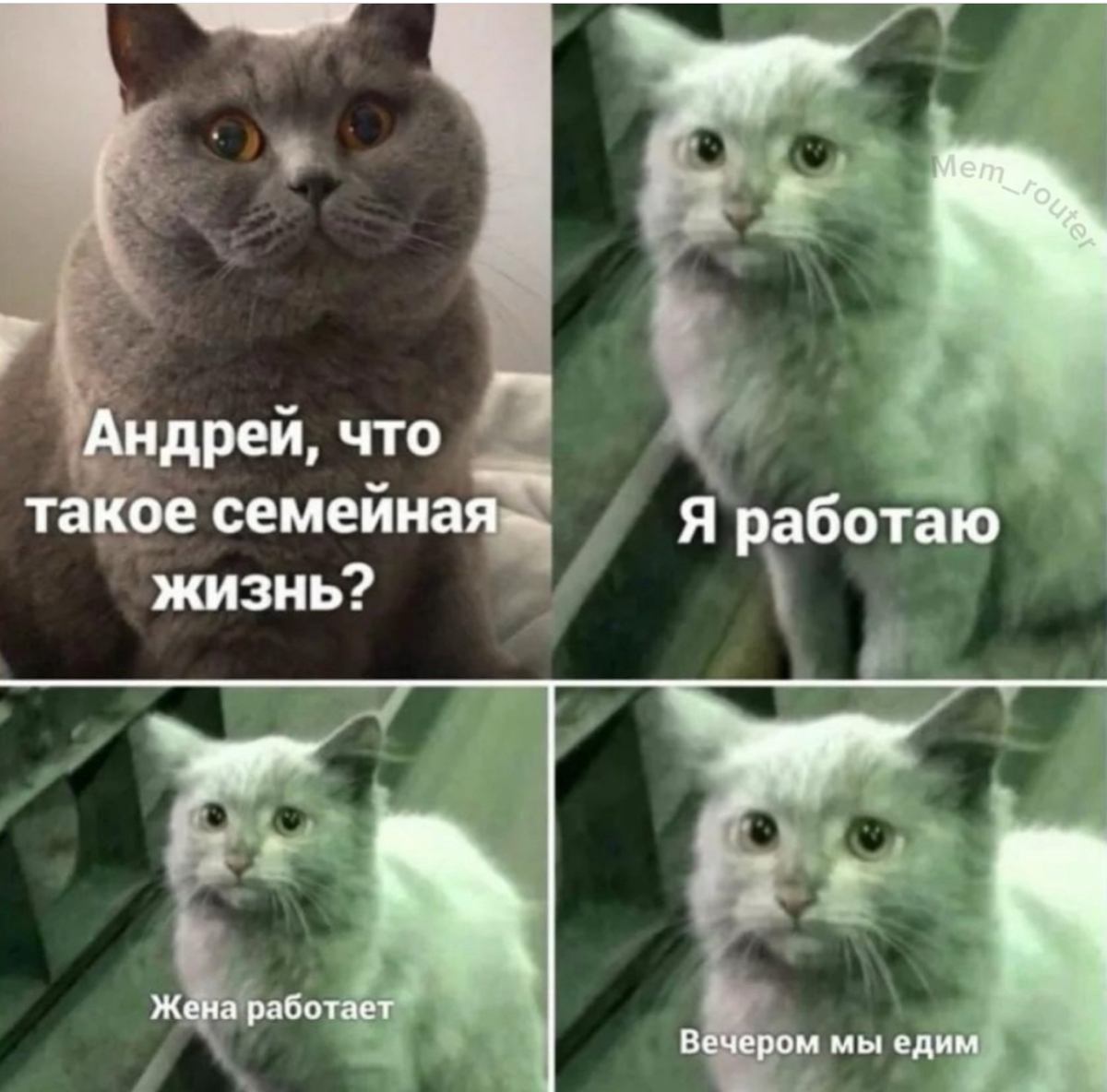 Баланс 🙃 | Сетка — социальная сеть от hh.ru