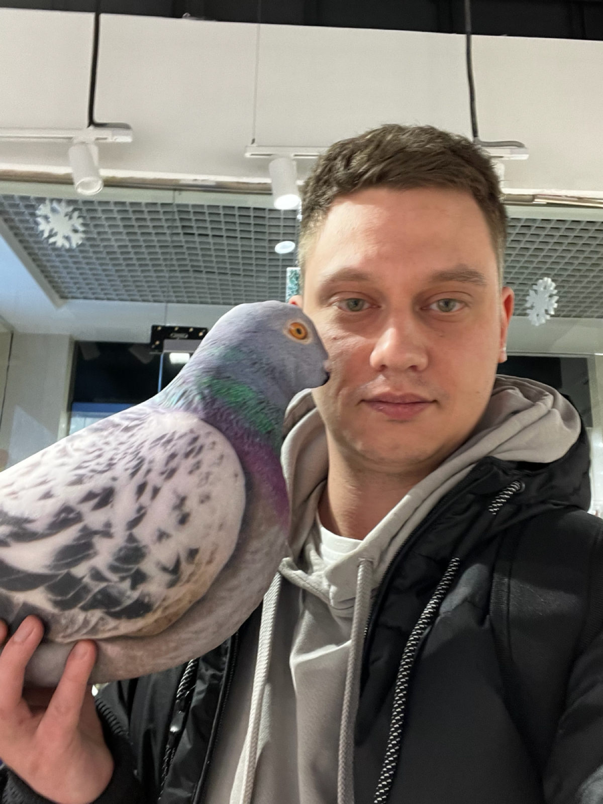 Alexander Razuvaev | Сетка — социальная сеть от hh.ru