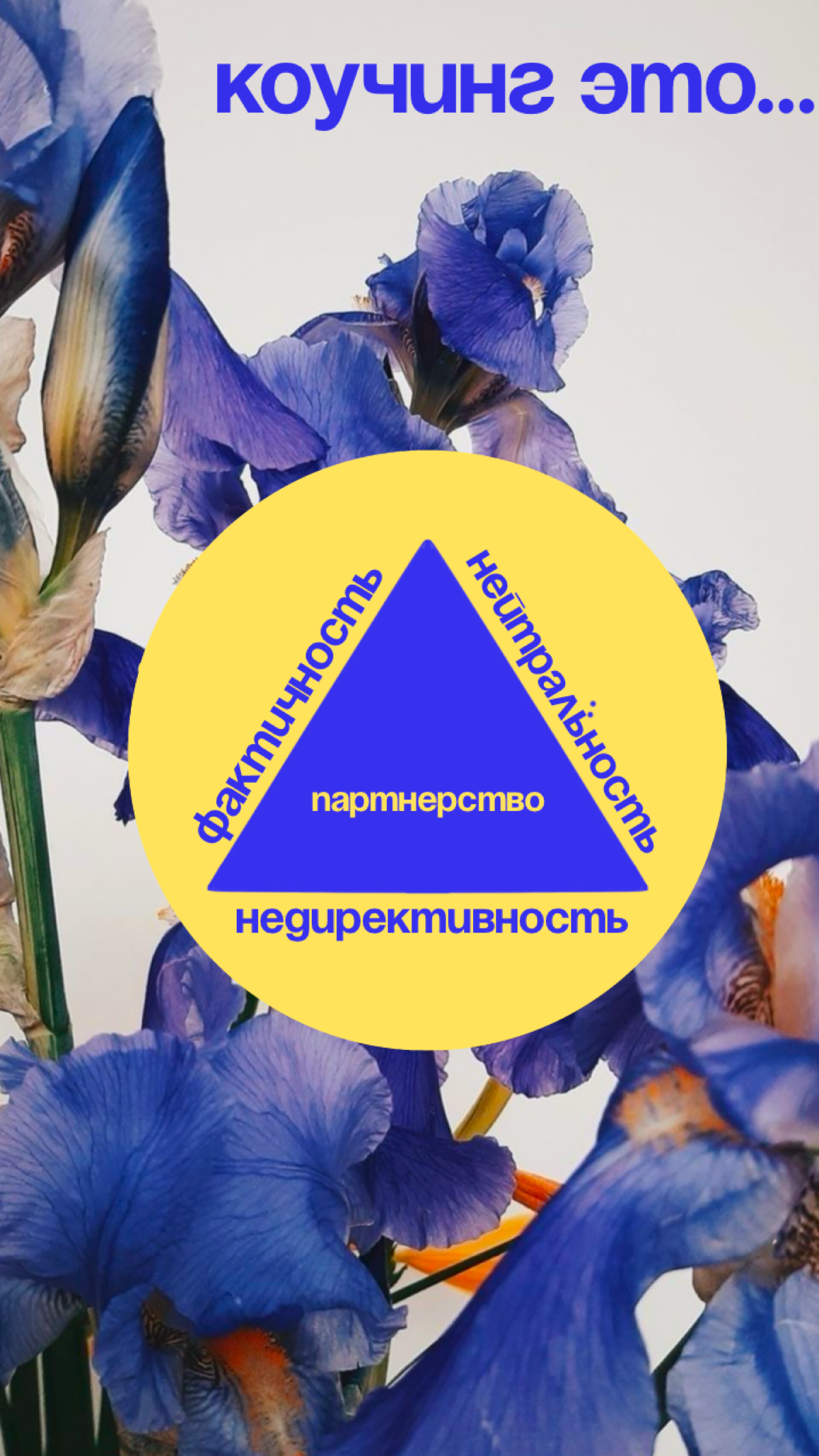 Правда или ложь: коучинг - это пустая трата времени? | Сетка — социальная сеть от hh.ru