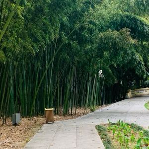 Сергей Занько | Сетка — социальная сеть от hh.ru