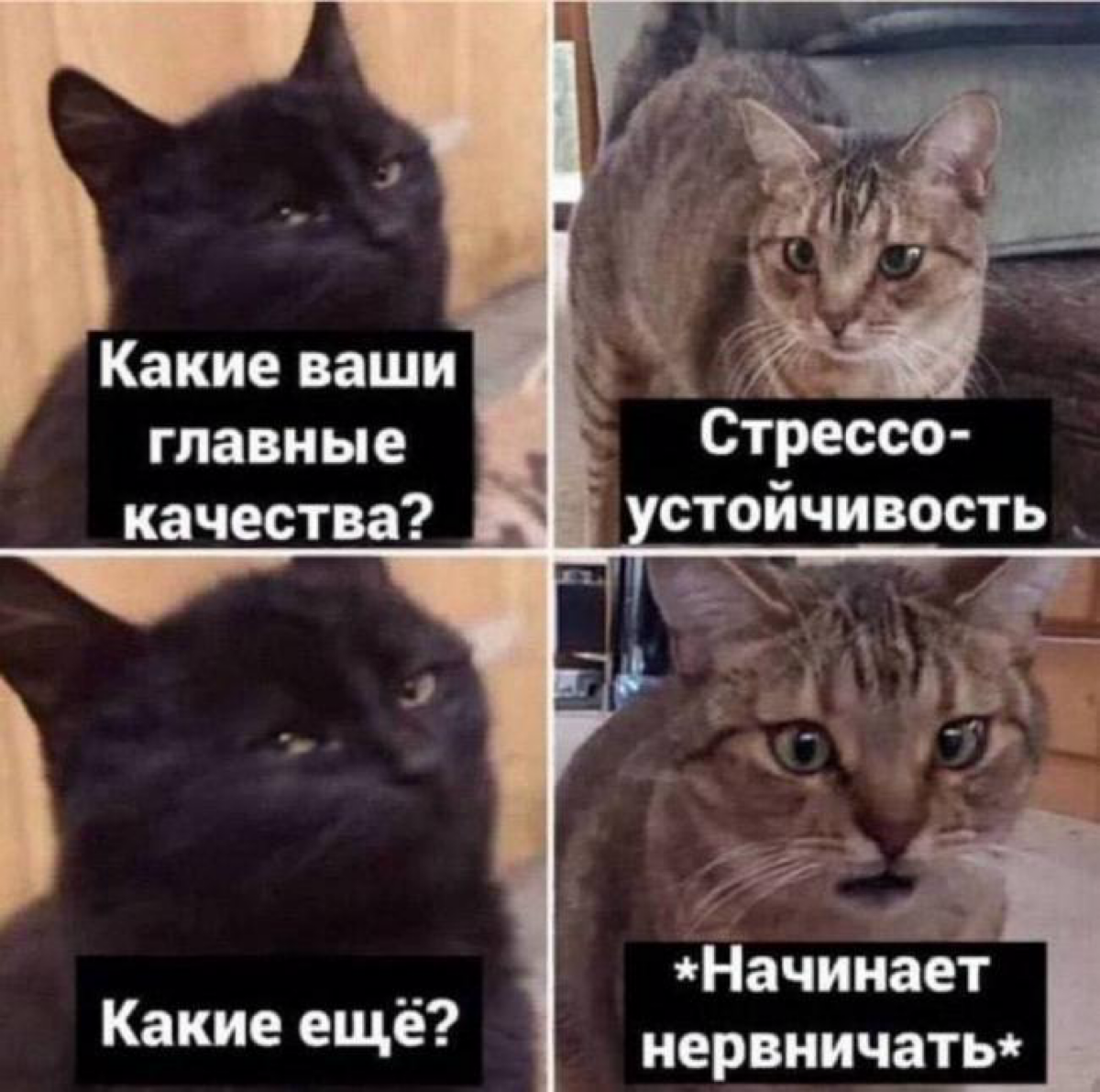 Проходил собеседование, и HR задала вопрос •Назовите ваши положительные и отрицательные качества?• и сама же извинилась за столь банальный и заезженный вопрос…хмм
(собеседование на управляющего)
Я счи... | Сетка — социальная сеть от hh.ru