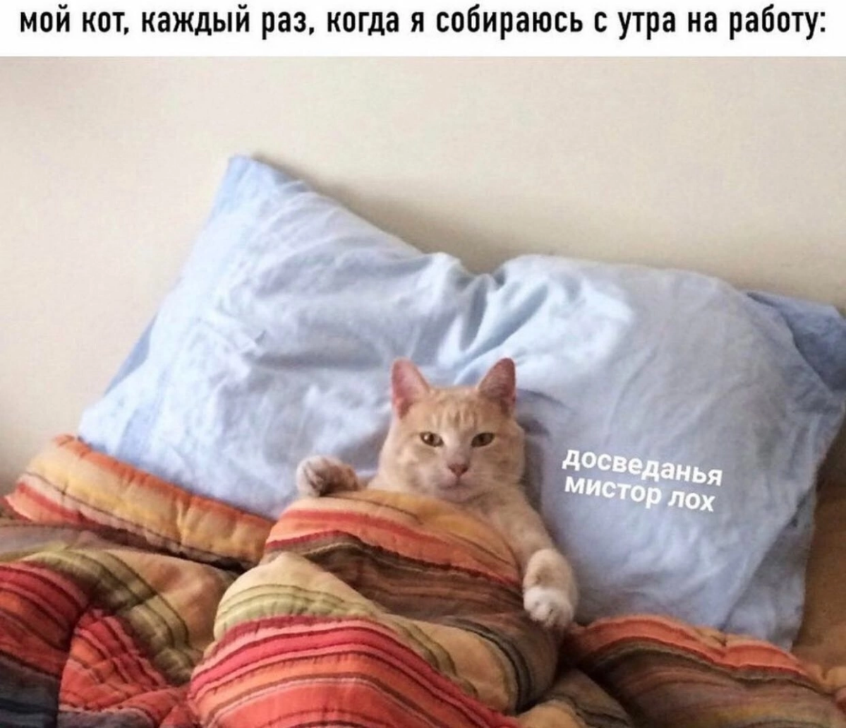 Сетка — социальная сеть от hh.ru