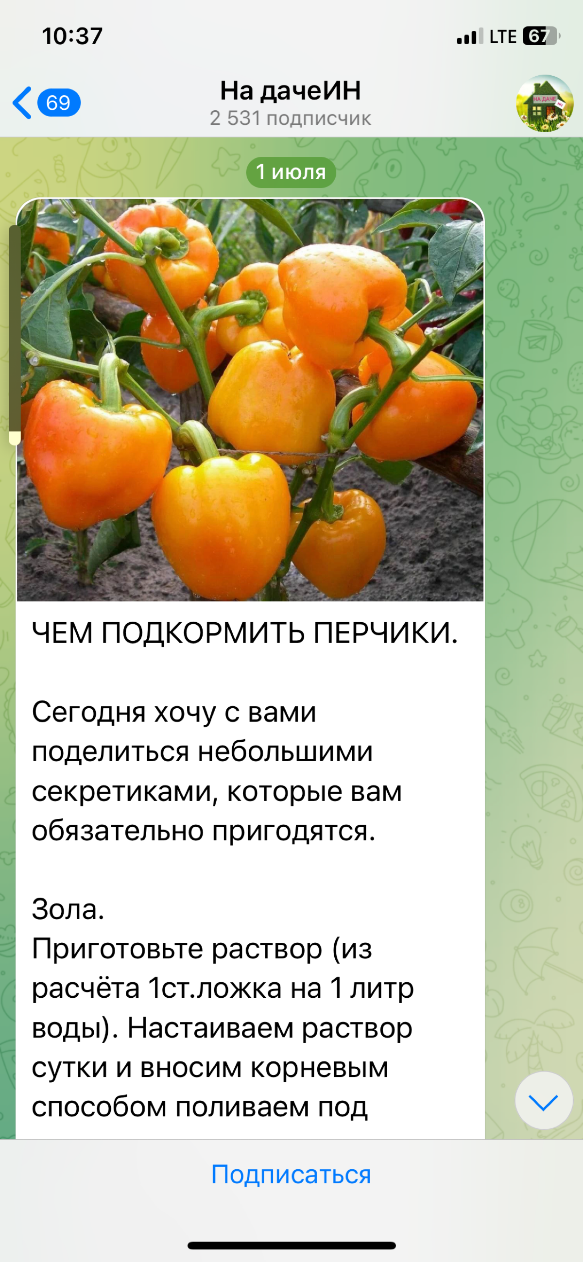 comment image