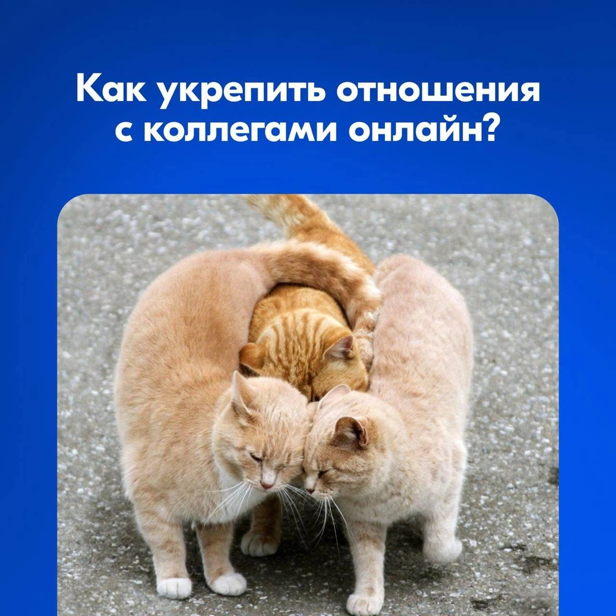 Как не потерять отношения в условиях удаленной работы | Сетка — социальная сеть от hh.ru