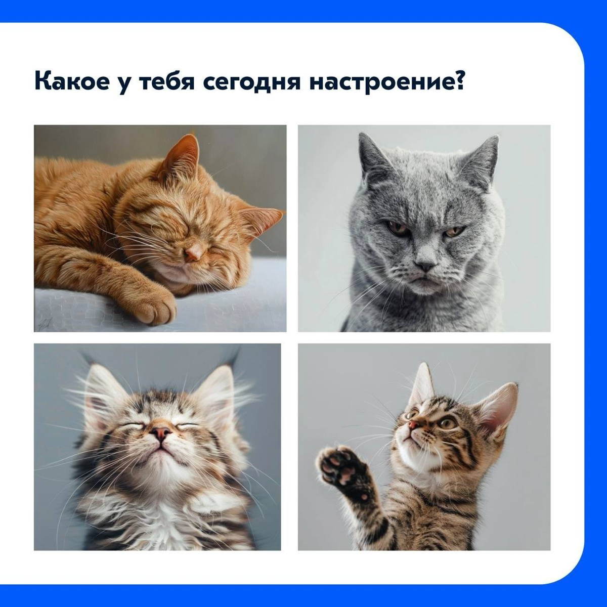 Как не потерять отношения в условиях удаленной работы | Сетка — социальная сеть от hh.ru