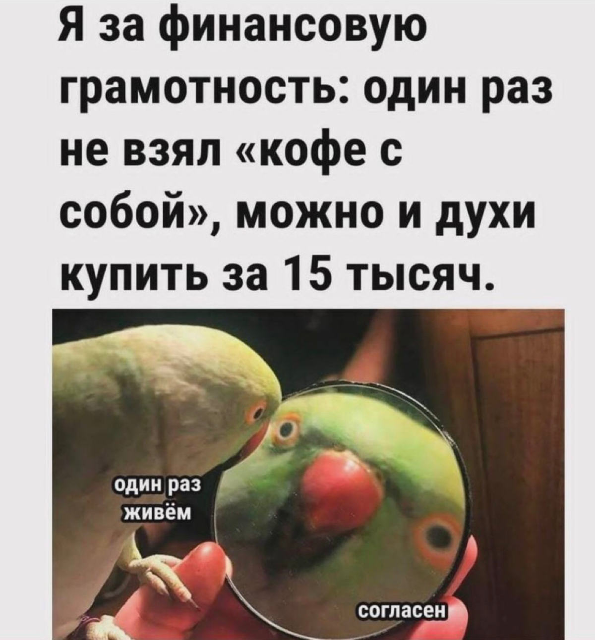 #мем | Сетка — социальная сеть от hh.ru