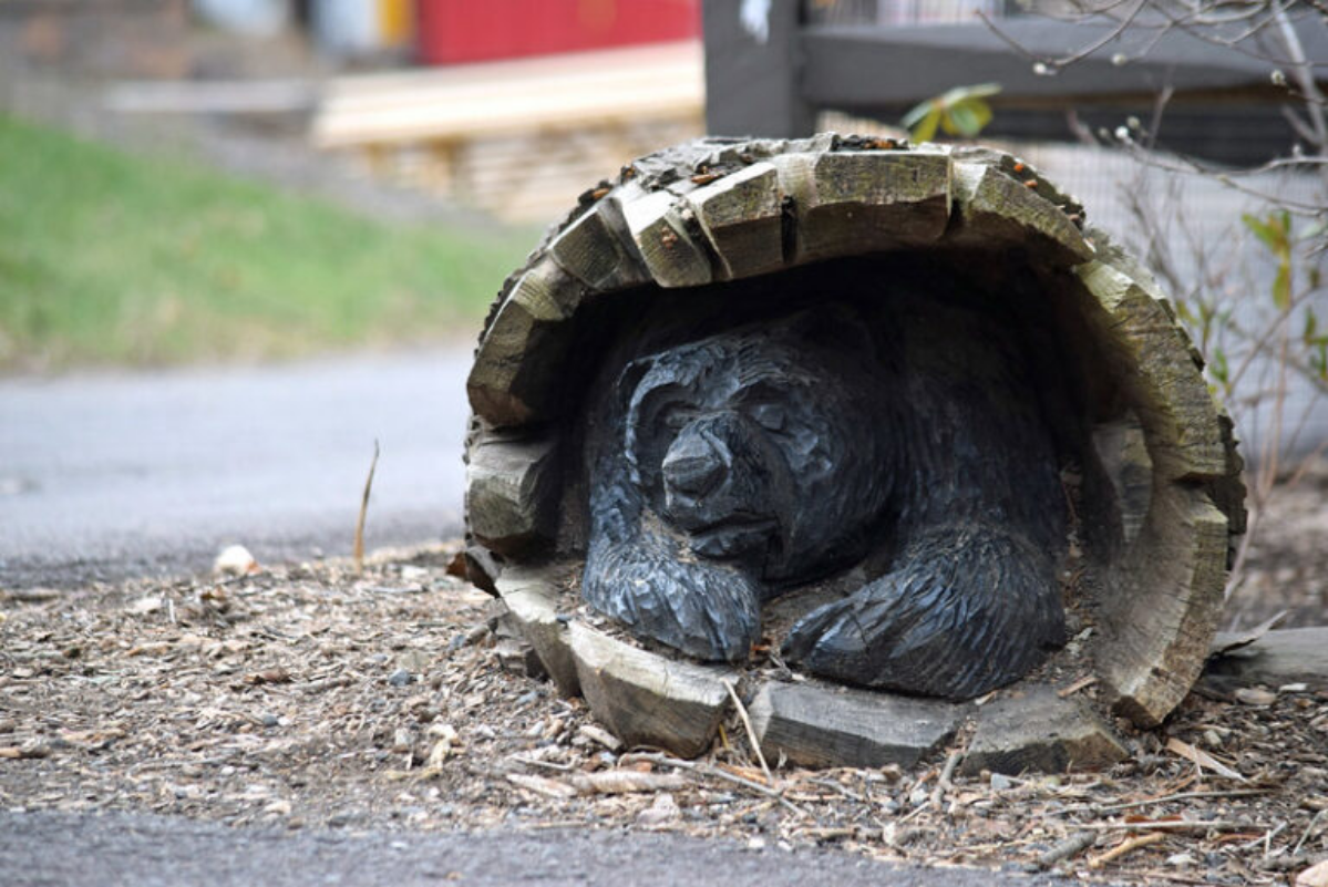 Спящая планета | Сетка — социальная сеть от hh.ru