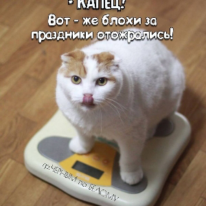 Вячеслав Клюев | Сетка — социальная сеть от hh.ru