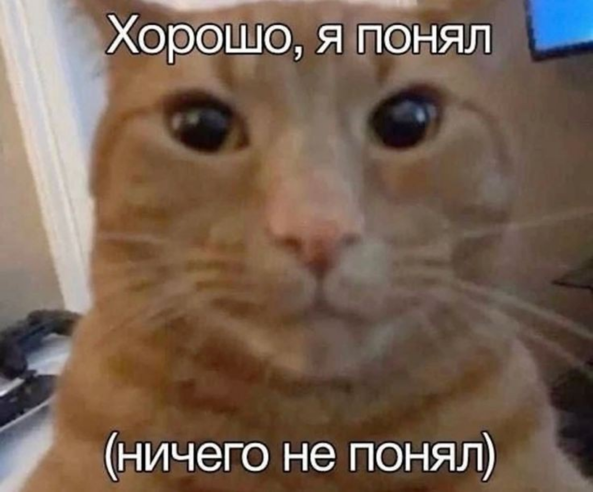 Когда объясняешь джуну, как правильно делать, он: | Сетка — социальная сеть от hh.ru