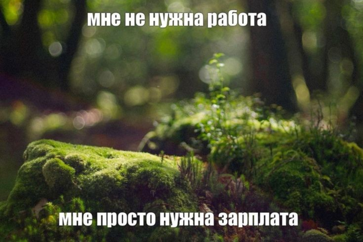 the classic | Сетка — социальная сеть от hh.ru