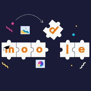 Разработка LMS Moodle