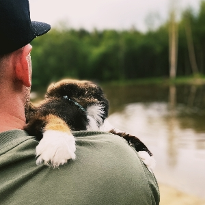 Сергей Иванов | Сетка — социальная сеть от hh.ru