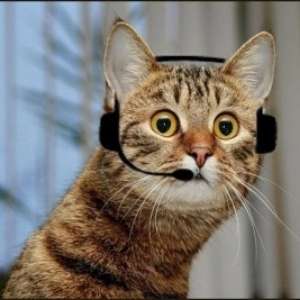 Владислав Титов | Сетка — социальная сеть от hh.ru