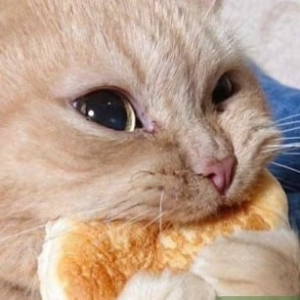 На работе я ем