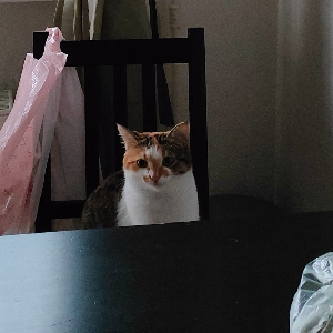 Дабажап Бадмаев | Сетка — социальная сеть от hh.ru