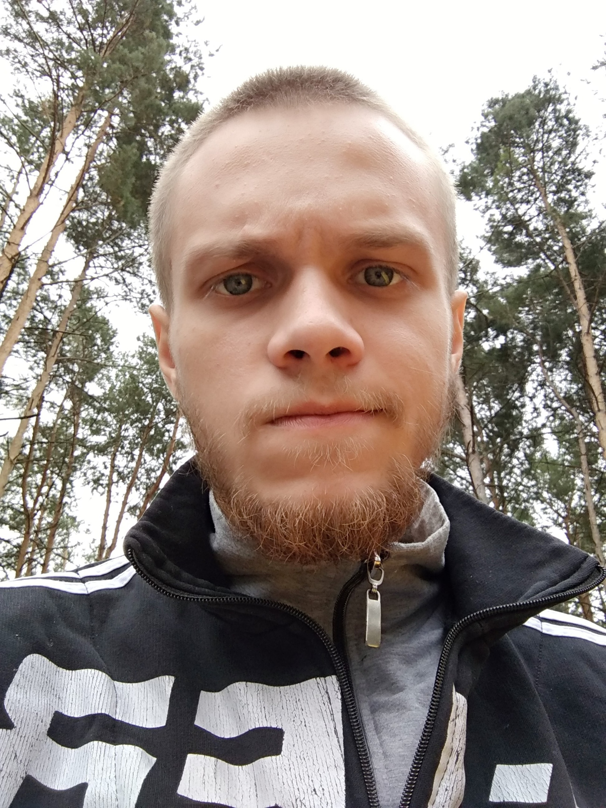 Александр Сафронов