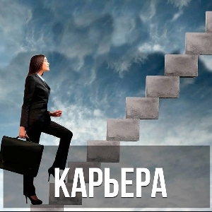 Карьерная сетка