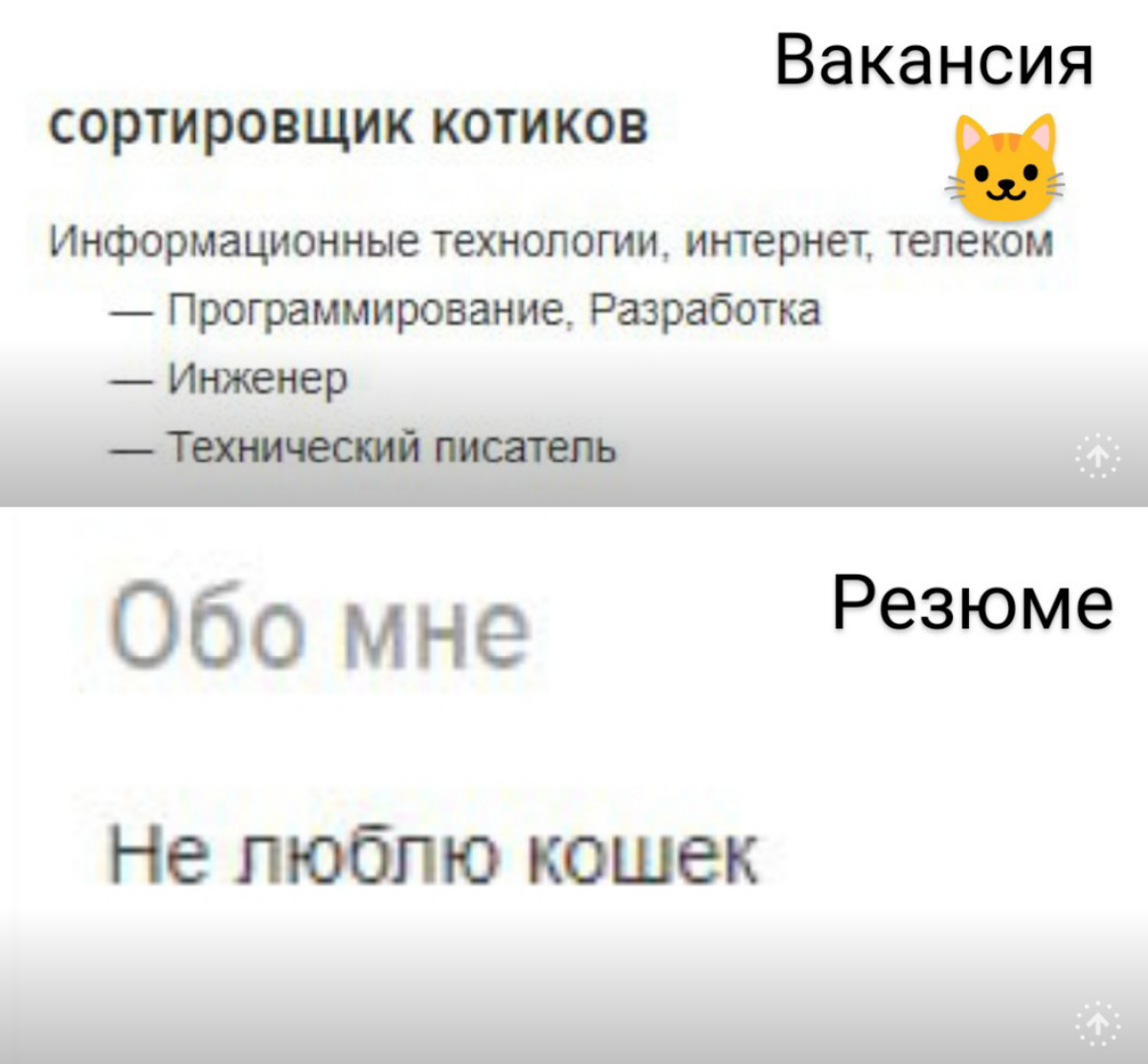 100% непопадание 😹
Есть у меня увлечение, собирать интересные выдержки из вакансий и резюме. | Сетка — социальная сеть от hh.ru