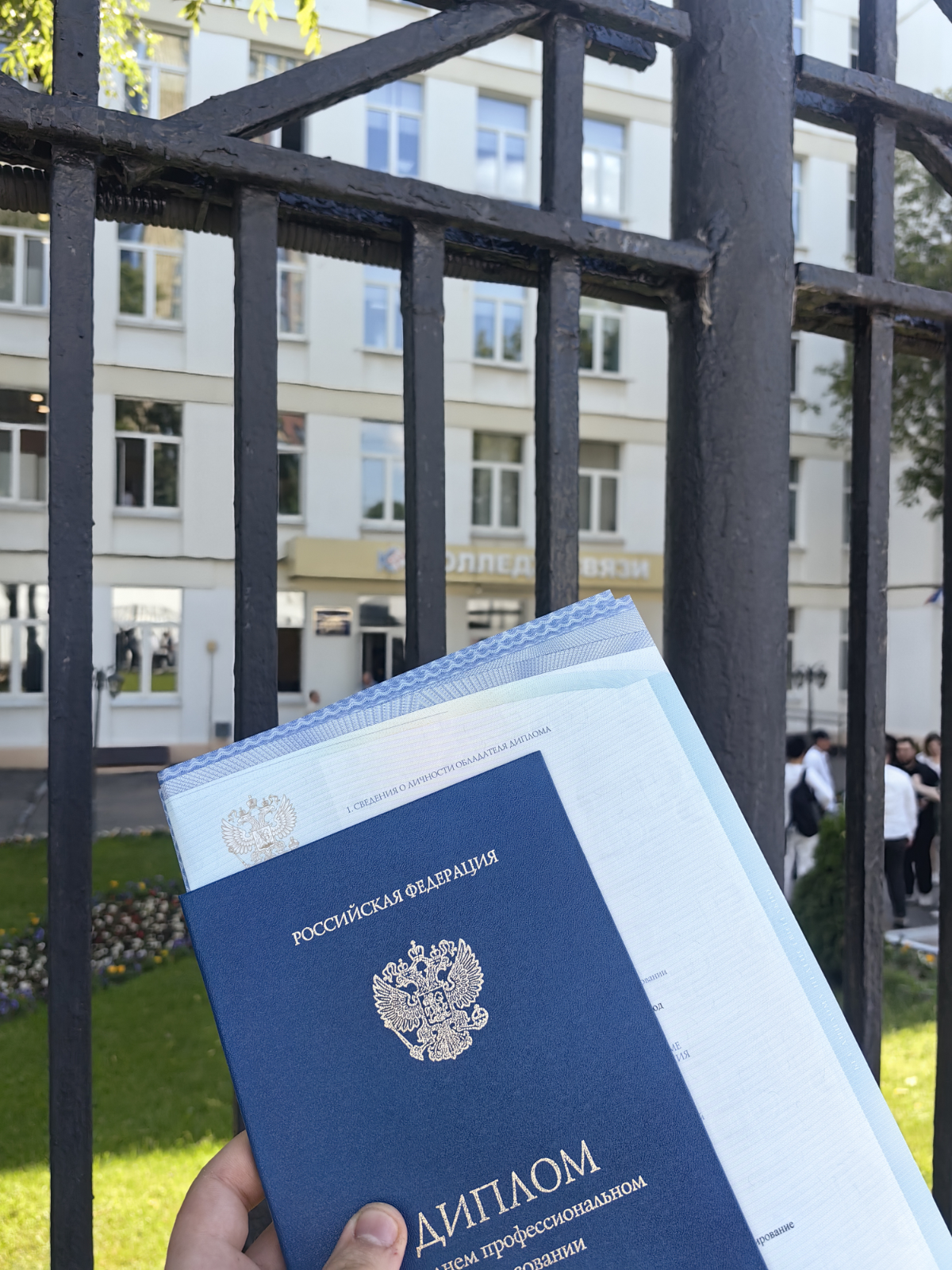 Встречайте нового дипломированного специалиста на рынке труда, сук утром надо в военкомат съездить | Сетка — социальная сеть от hh.ru