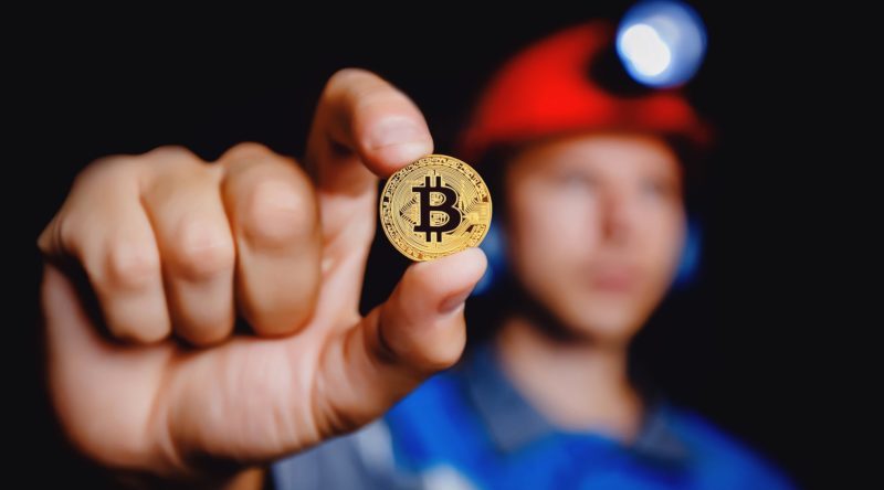В этом году акции BTC-майнеров росли быстрее первой криптовалюты | Сетка — социальная сеть от hh.ru